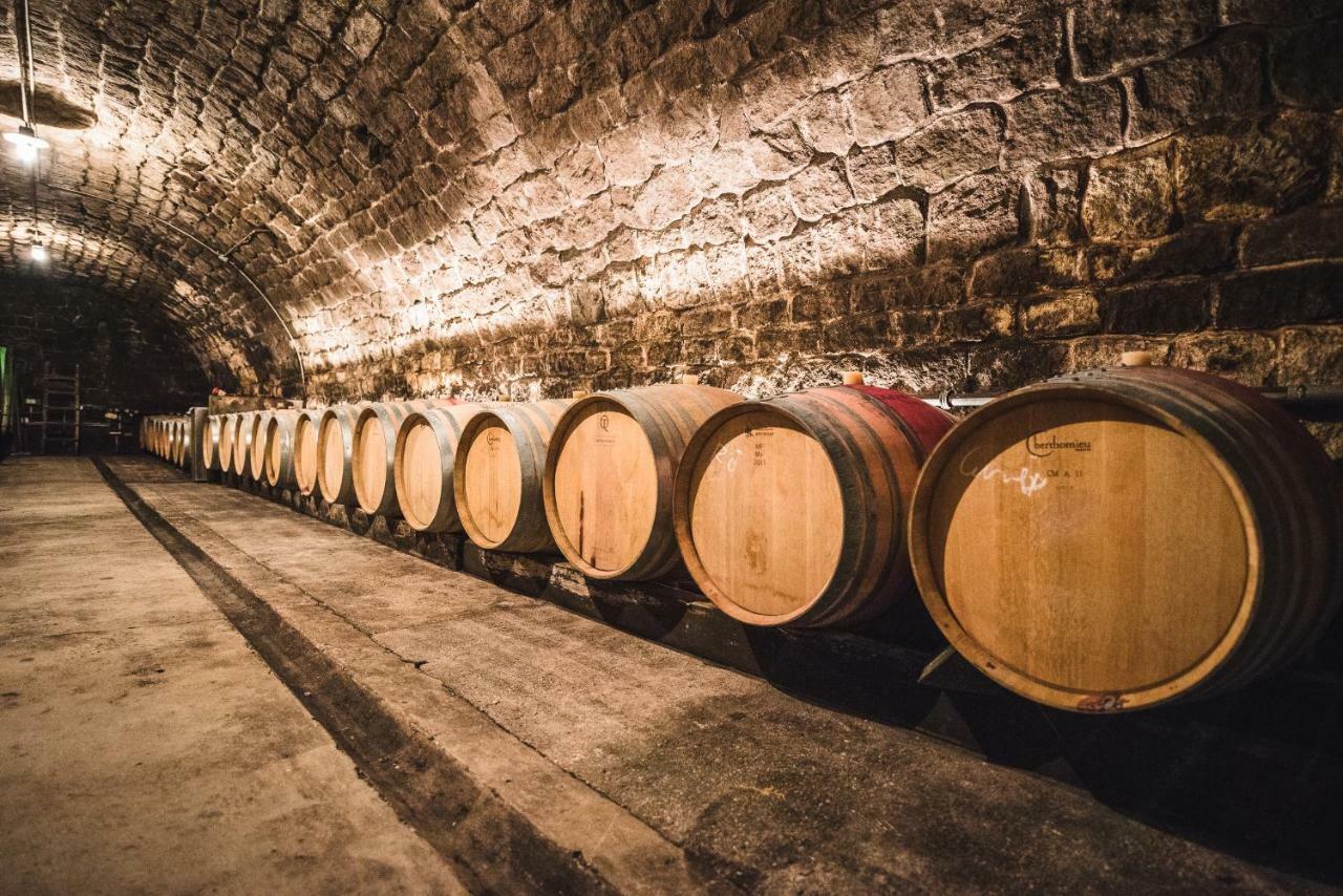 Weingut Gaestehaus D&D Haider Jois Exterior photo